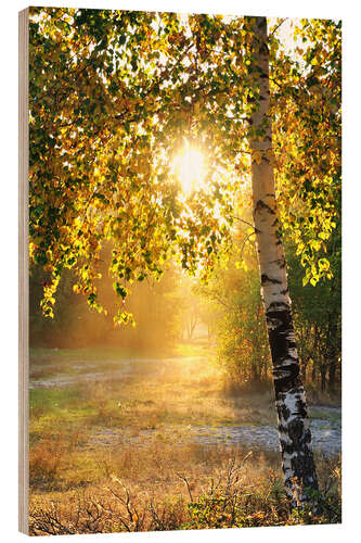 Wood print Birch trees in a summer forest