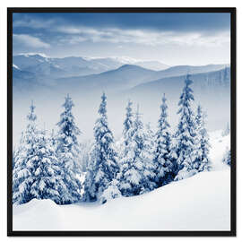 Gerahmter Kunstdruck Gruppe von Tannen im Gebirge