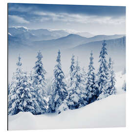 Magnettafel Gruppe von Tannen im Gebirge