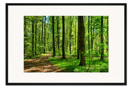 Gerahmter Kunstdruck Frühlingsduft im Wald