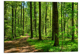 Magnettafel Frühlingsduft im Wald