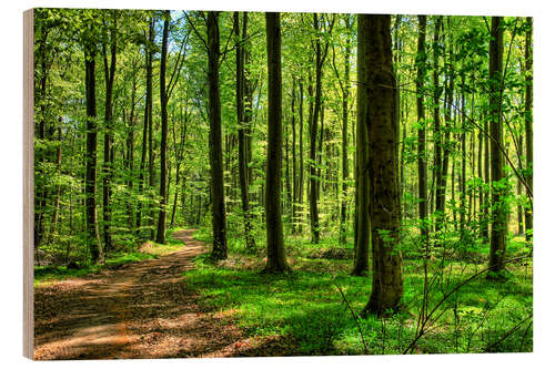 Holzbild Frühlingsduft im Wald