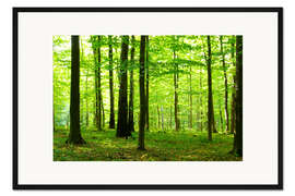 Gerahmter Kunstdruck Sonnenlicht im grünen Wald