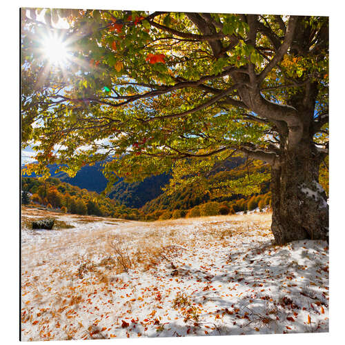 Alumiinitaulu First snow in autumn