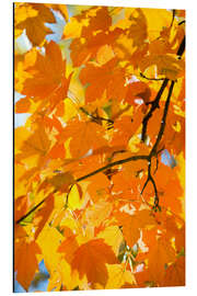 Magnettafel Herbstliche Ahornblätter