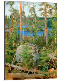 Magnettafel Blick auf den Jamajärvi-See