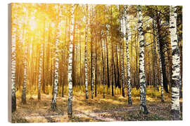 Quadro de madeira birch trees in a autumn forest