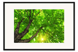 Gerahmter Kunstdruck Unter einem großen grünen Baum