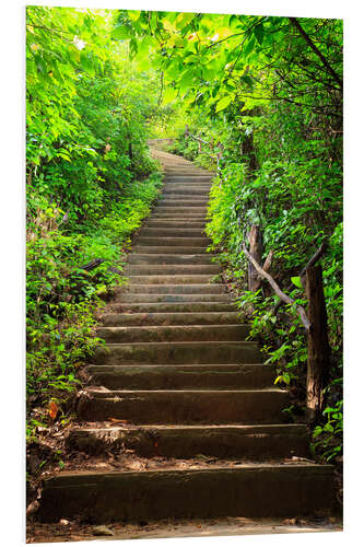 Foam board print Stairway through the forest