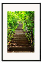 Gerahmter Kunstdruck Treppe zum Wald