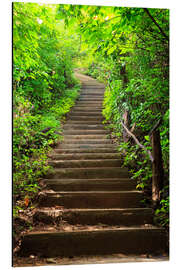 Magnettafel Treppe zum Wald