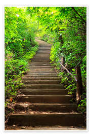 Poster  Treppe zum Wald