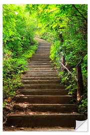 Vinilo para la pared Escaleras al bosque