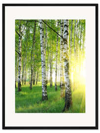 Gerahmter Kunstdruck Birken im Sommerwald