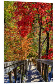 Foam board print Wooden stairs in Autumn forest