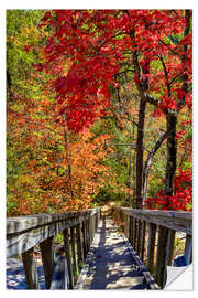 Sticker mural Escalier en bois dans une forêt aux couleurs d'automne