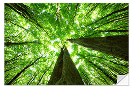 Wall sticker A green roof