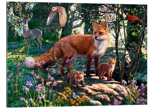 Gallery print Woodland Wildlife