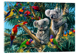 Tableau en verre acrylique  Koala de l&#039;Outback - Steve Read