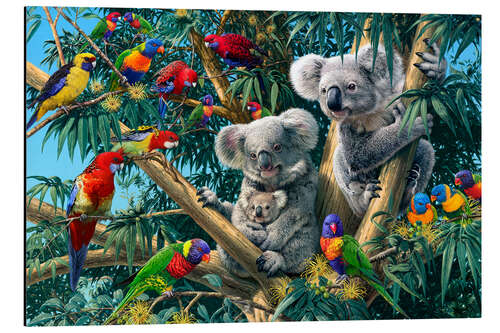 Quadro em alumínio Koala Outback