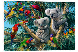 Hartschaumbild Koala Outback - Suchbild - Steve Read