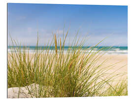 Gallery print Beach with dune grass in sand