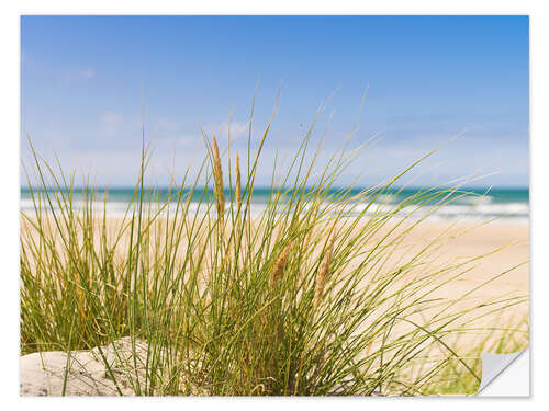 Wandsticker Strand mit Dünengras im Sand