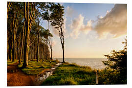 Foam board print Baltic Sea near Rostock