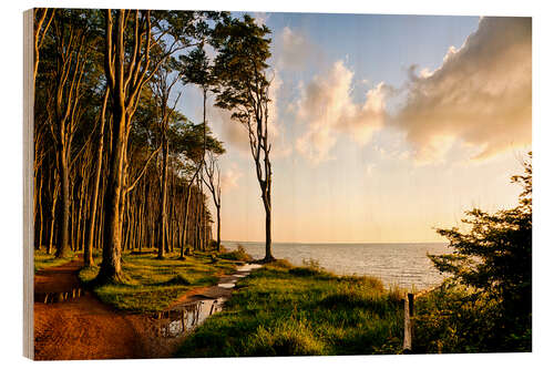 Obraz na drewnie Baltic Sea near Rostock