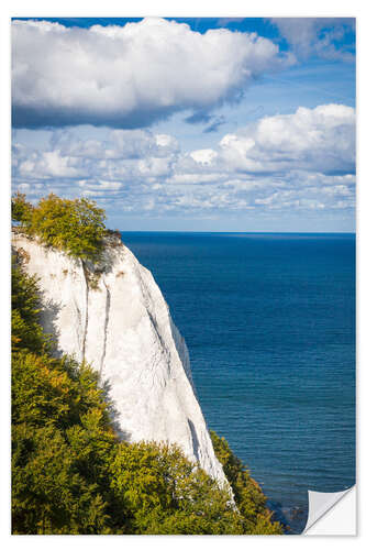 Naklejka na ścianę Chalk cliffs in the Jasmund National Park on Rügen