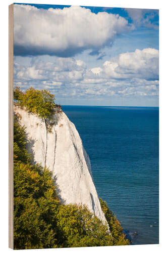 Quadro de madeira Chalk cliffs in the Jasmund National Park on Rügen