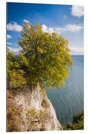 Gallery print Chalk cliffs in the Jasmund National Park on Rügen