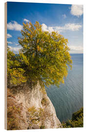 Stampa su legno Chalk cliffs in the Jasmund National Park on Rügen