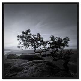 Gerahmter Kunstdruck Lilienstein Kiefer