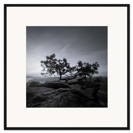 Impressão artística com moldura Lilienstein Pine