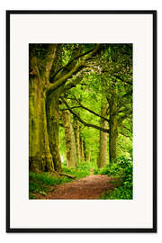 Gerahmter Kunstdruck Schöne Frühlingsfarben in einem Wald