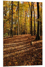 Foam board print autumn forest