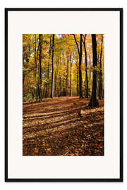 Gerahmter Kunstdruck Herbstwald