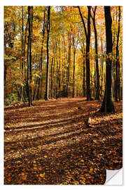 Wandsticker Herbstwald