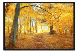 Gerahmter Kunstdruck goldener Herbstwald