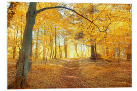 Foam board print Golden autumn forest