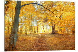 Gallery print Golden autumn forest