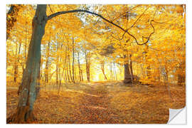 Selvklebende plakat Golden autumn forest