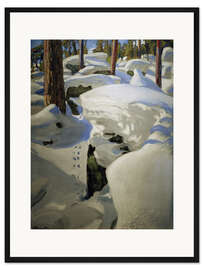 Gerahmter Kunstdruck Luchs-Höhle