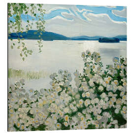 Magnettafel Weiße Rosen