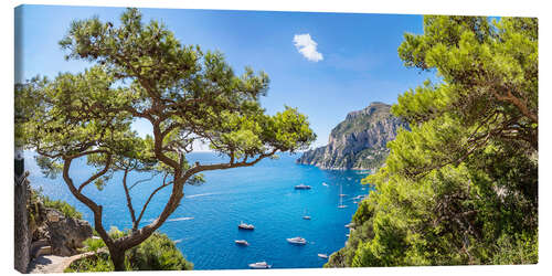 Leinwandbild Insel Capri im Sommer