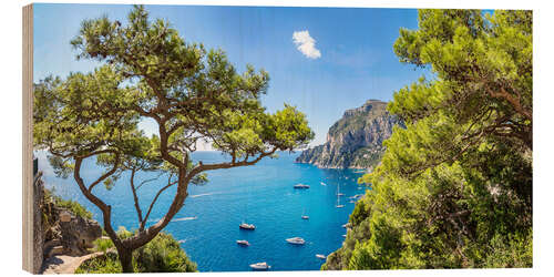 Quadro de madeira Capri in summer