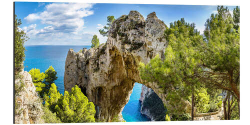 Aluminium print Capri island in Italy