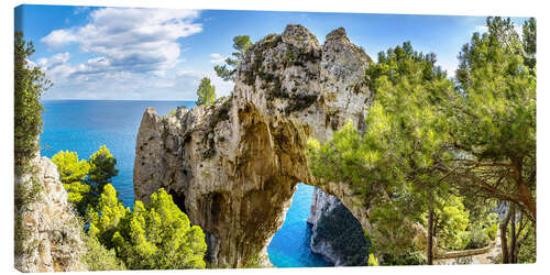 Leinwandbild Insel Capri in Italien