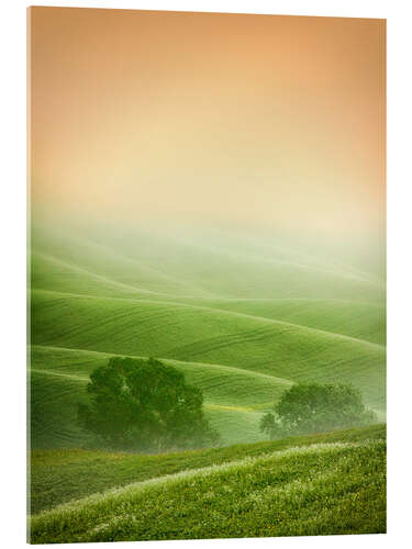 Akrylbillede Country Landscapes of Tuscany